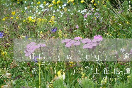征信網(wǎng)貸逾期可以投訴嗎(網(wǎng)貸上征信逾期會(huì)怎樣)