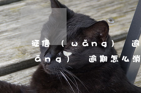 征信網(wǎng)貸逾期如何消除(網(wǎng)貸逾期怎么消除)