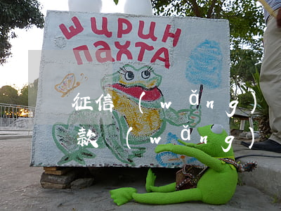 征信網(wǎng)貸逾期繼續(xù)貸款(網(wǎng)貸逾期了上征信了怎么辦)