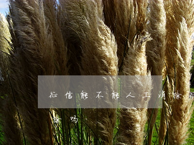 征信能不能人工消除(征信能申请人工逾期消除吗)