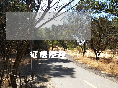 征信能修復(fù)嗎