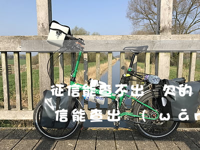 征信能查不出來欠的網(wǎng)貸嗎(征信能查出網(wǎng)貸欠款嗎)
