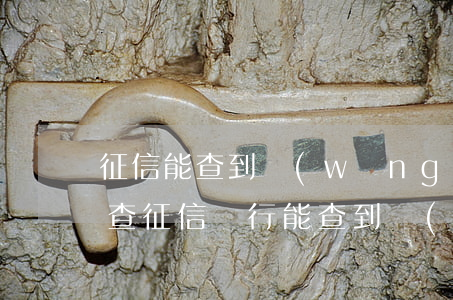 征信能查到網(wǎng)貸欠多少金額嗎(查征信銀行能查到網(wǎng)貸金額嗎)
