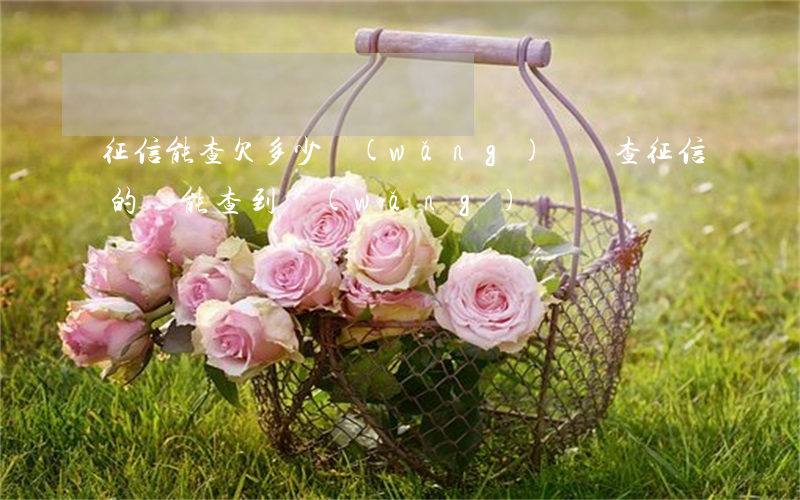 征信能查欠多少網(wǎng)貸嗎(查征信的話能查到網(wǎng)貸嗎)