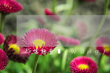征信能查網(wǎng)貸逾期的嗎