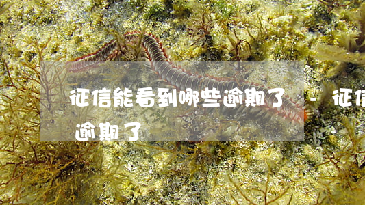 征信能看到哪些逾期了嗎-征信能看到哪些逾期了嗎