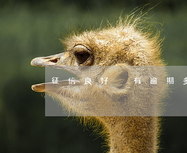 征信良好沒有逾期多久可以清零-