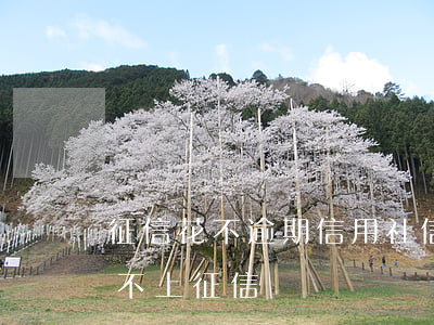 征信花不逾期信用社信e貸沒通過-信用貸 不上征信