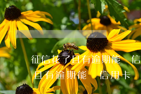 征信花了且有逾期能辦信用卡嗎-征信花了且有逾期能辦信用卡嗎有影響嗎