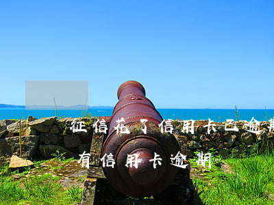 征信花了信用卡已逾期-個(gè)人征信有信用卡逾期