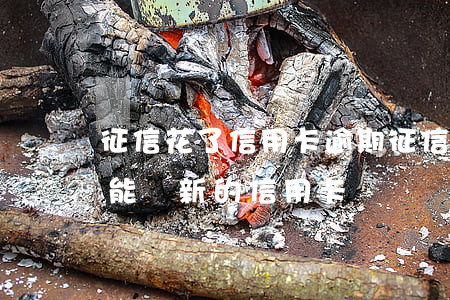 征信花了信用卡逾期 征信花了信用卡逾期還能辦新的信用卡嗎
