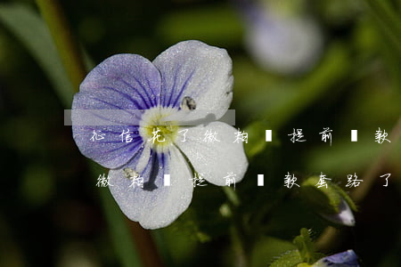 征信花了微粒貸提前還款套路了-征信花了微粒貸提前還款套路了怎么辦