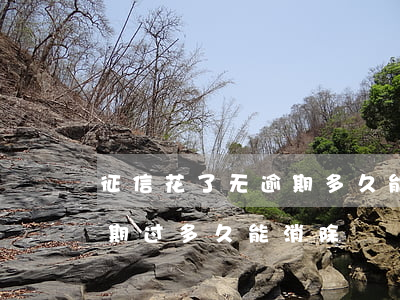 征信花了无逾期多久能恢复(征信花了,但没逾期过,多久能消除)