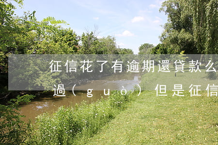 征信花了有逾期還貸款么(沒(méi)逾期過(guò)但是征信花了怎么處理)