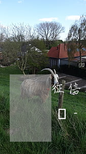 征信花了未逾期過(guò)可以信用貸款嗎-征信花了未逾期過(guò)可以信用貸款嗎知乎