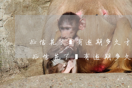 征信花了沒有逾期多久才能恢復(fù)-征信花了沒有逾期多久才能恢復(fù)正常