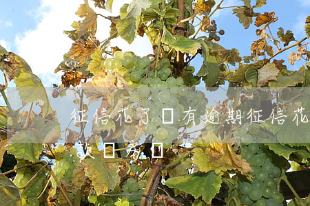 征信花了沒有逾期(征信花了沒有逾期可以貸款買房嗎)