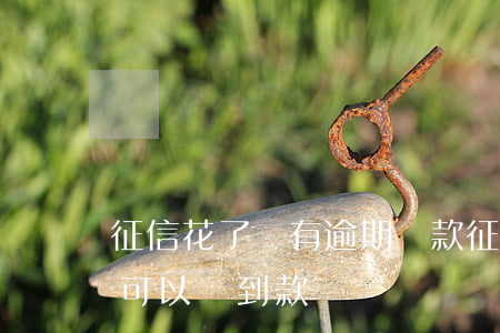 征信花了沒有逾期貸款(征信花沒逾期銀行還可以貸到款嗎)