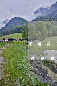 征信花了没逾期信用卡会降额吗-征信花了没逾期信用卡会降额吗怎么办