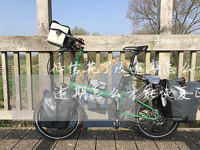 征信花了没逾期怎么才能恢复-征信花了没逾期怎么才能恢复正常