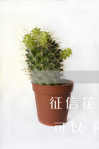 征信花了没逾期的贷款(征信花但是没有逾期可以下款的有没有)