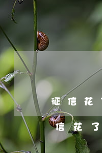征信花了無(wú)逾期怎么辦信用卡-征信花了,沒(méi)有逾期;還可以審核信用卡?