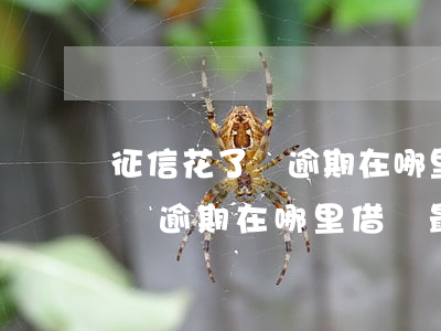 征信花了無逾期在哪里借錢最快-征信花了無逾期在哪里借錢最快呢