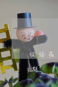 征信花了無逾期能否貸款(征信花了但沒有逾期)