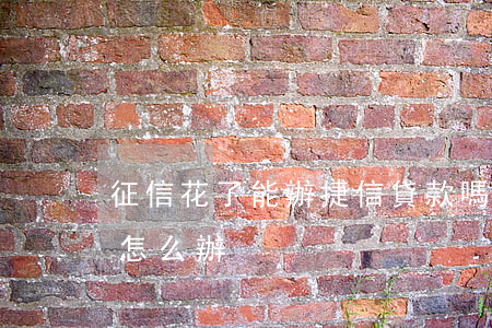 征信花了能辦捷信貸款嗎(捷越貸款上征信了怎么辦)