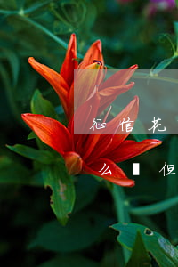 征信花了這么辦 但是沒逾期過-征信花了這么辦但是沒逾期過