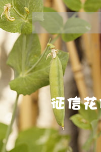 征信花但是沒逾期有什么影響嗎-