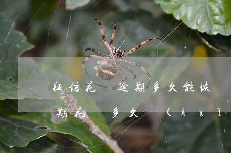 征信花唄逾期多久能恢復(fù)(支付寶逾期花唄多久會(huì)上征信多久可以消除)