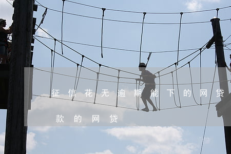 征信花无逾期能下的网贷(征信花没逾期能下款的网贷)