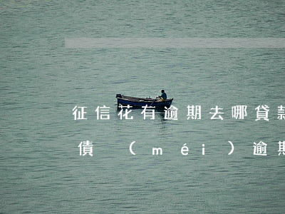 征信花有逾期去哪貸款(征信花,有負(fù)債,沒(méi)逾期什么可以下款)