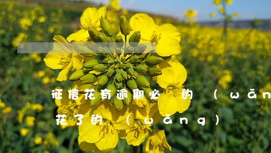征信花有逾期必過的網(wǎng)貸(征信花了的網(wǎng)貸)