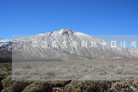 征信花有逾期能申請信用卡嗎
