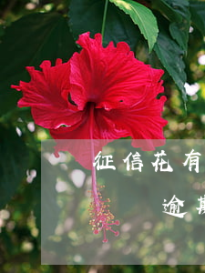 征信花有逾期能貸款嗎(征信花,有負(fù)債,沒逾期什么可以下款)