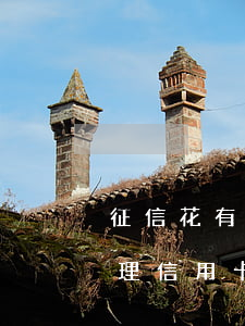征信花有逾期能辦信用卡嗎(征信花能不能辦理信用卡)