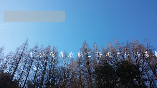 征信花有逾期辦信用卡 征信花有逾期辦信用卡
