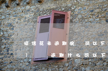 征信花未逾期房貸可以下(征信花,有負(fù)債,沒逾期什么可以下款)