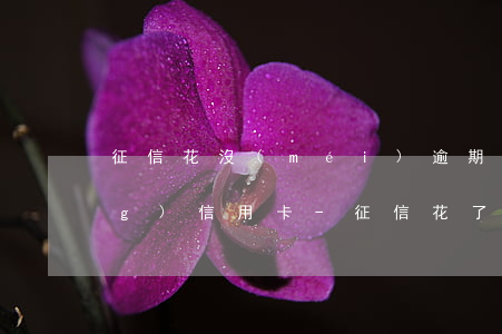 征信花沒(méi)逾期怎么申請(qǐng)信用卡-征信花了,沒(méi)有逾期;還可以審核信用卡?
