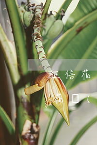 征信花沒(méi)逾期怎么辦信用卡(征信花沒(méi)有逾期哪里能下款)
