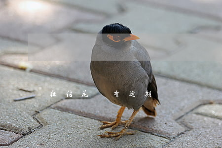 征信花沒有逾期