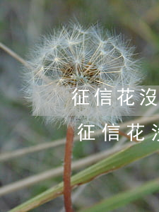 征信花沒有逾期哪個(gè)平臺能貸款-征信花沒有逾期哪個(gè)平臺能貸款買房