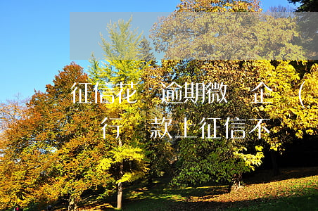 征信花沒逾期微眾企業(yè)貸款-微眾銀行貸款上征信不