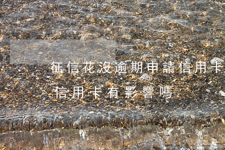 征信花沒逾期申請信用卡(征信花沒逾期申請信用卡有影響嗎)