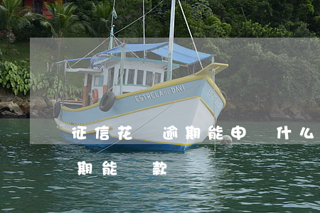 征信花沒逾期能申請什么信用卡(征信花沒逾期能貸款嗎)