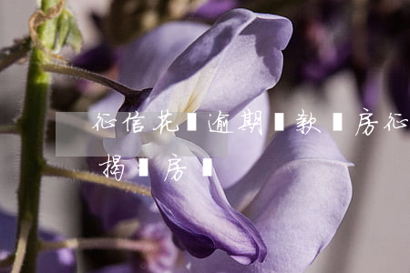 征信花沒逾期貸款買房(征信花沒逾期可以按揭買房嗎)
