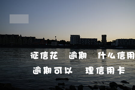 征信花沒逾期辦什么信用卡(征信花,有負債,沒逾期可以辦理信用卡嗎)