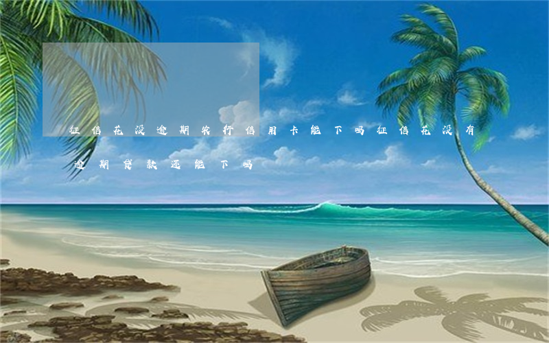 征信花没逾期农行信用卡能下吗(征信花没有逾期贷款还能下吗)